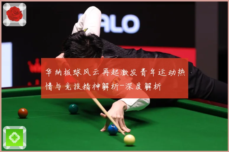 华纳板球风云再起激发青年运动热情与竞技精神解析-深度解析
